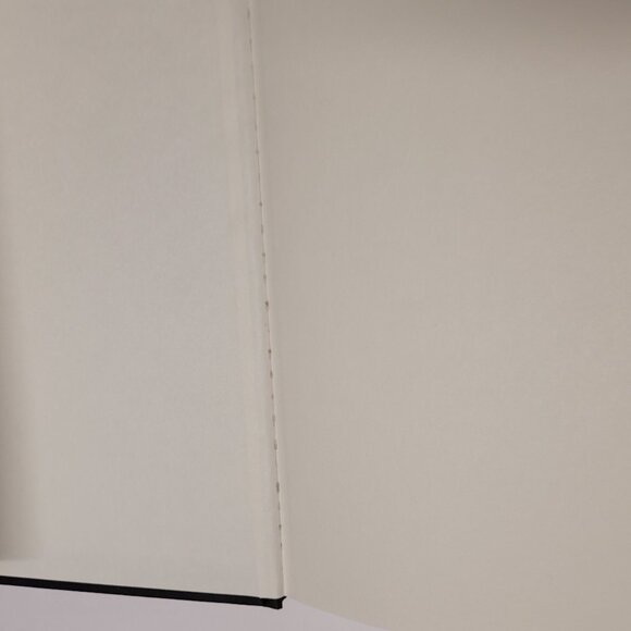 Real News By Scott Stedman Book - Hardcover - Picture 6 of 8